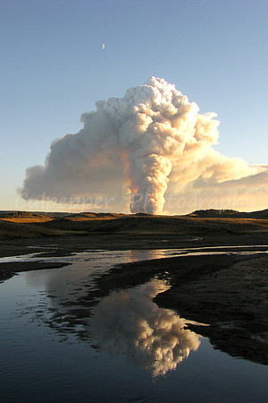 Forces of Nature
