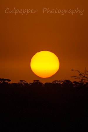 African Sunrise