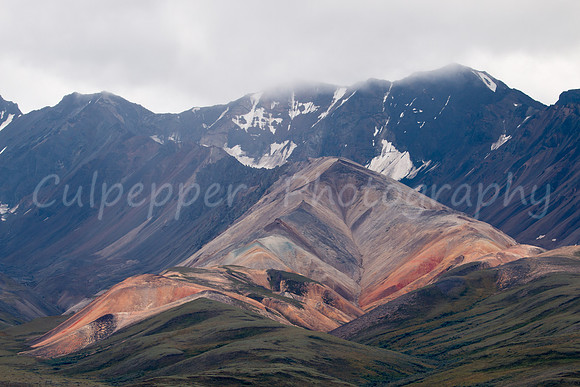 Polychrome