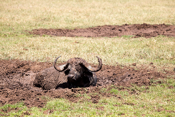 Mud bath