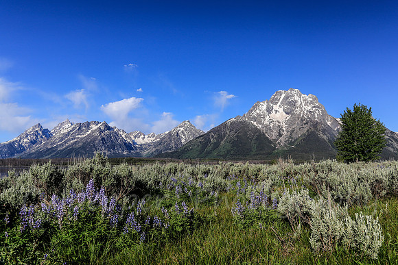 Grand Teton Range
