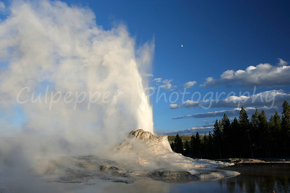 Castle Geyser Glory