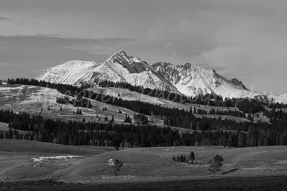 Electric Peak Layers