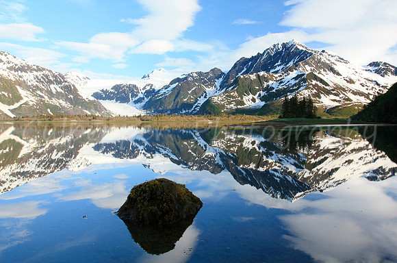 Reflections in Pedersen Lagoon