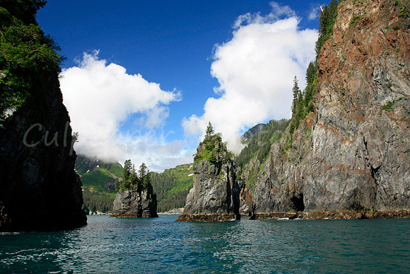 Puffin Paradise