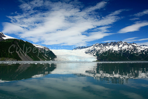 Aialik Glacier