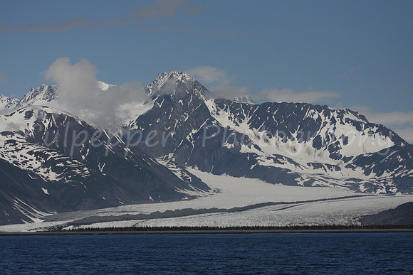 Bear Glacier