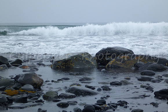 Storm Waves