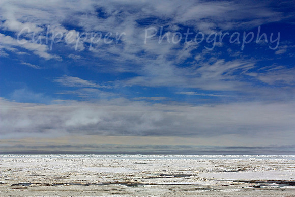 Arctic Ice in Barrow