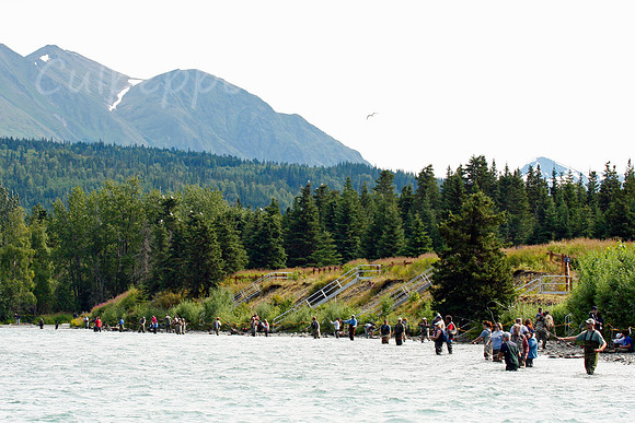 Fishing on Kenai River
