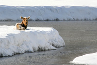 20080328-49-culpepper-3431