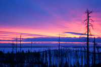 Absaroka Winter Sunrise