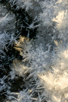Hoar Frost Crystals