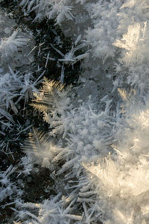 Hoar Frost Crystals