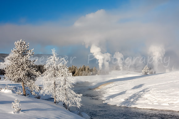 Winter Wonderland
