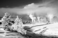 Winter Wonderland B+W