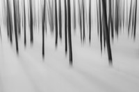 Creative Bobbysock Blur