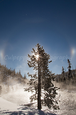 Sundog