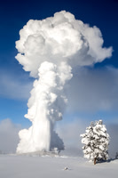 Old Faithful Delight