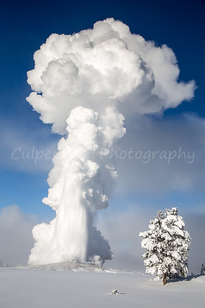 Old Faithful Delight