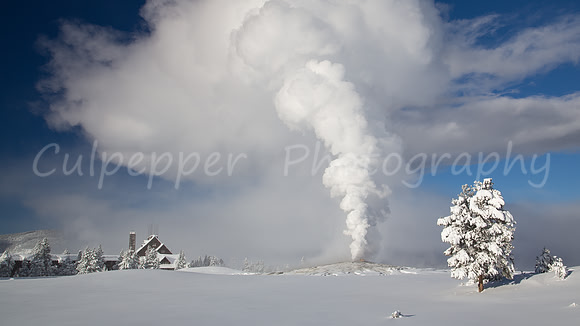 Old Faithful Delight Inn