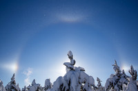 Winter Magic