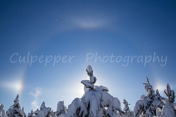 Winter Magic
