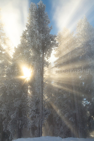 Winter Sun Rays