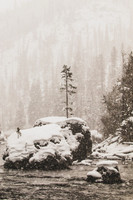 Christmas Tree Rock