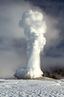 Ancient Whispers ~ Old Faithful -32F