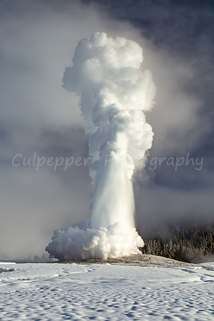 Ancient Whispers ~ Old Faithful -32F