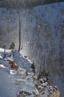 Canyon Diamond Dust