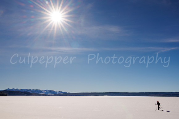 Sunburst Skier