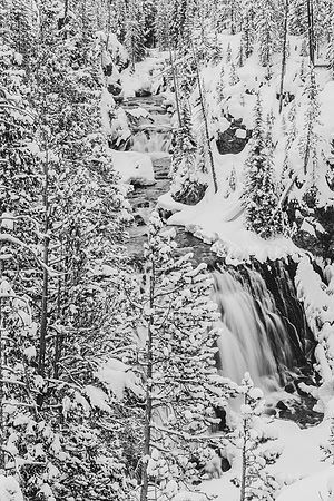 Kepler Cascades B+W