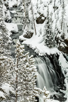 Kepler Cascades