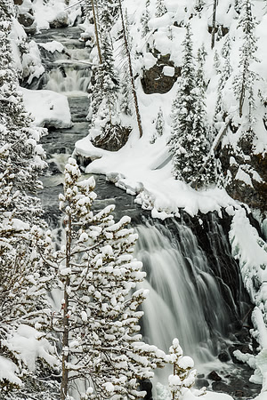 Kepler Cascades