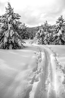 Skier's Delight