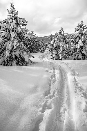 Skier's Delight