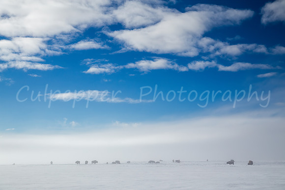 Winter Inversion