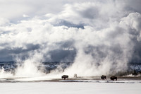 Steam Bath