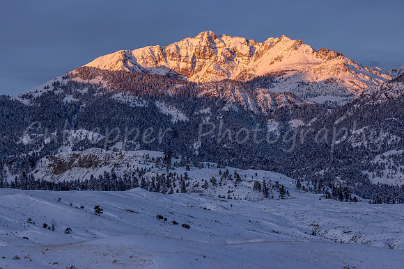 Electric Peak Alpenglow