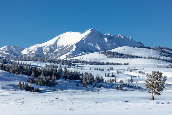 Electric Peak Blue Sky
