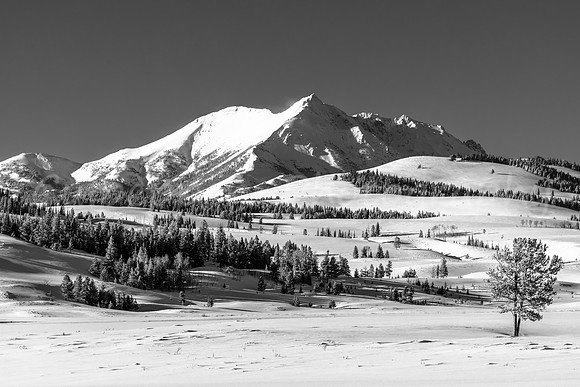 Electric Peak B+W