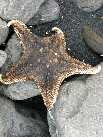 A star