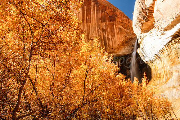 Fall Falls