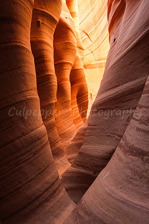 Zebra Slot Canyon