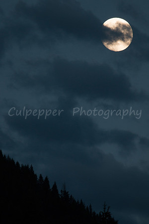 Full Moon Rising