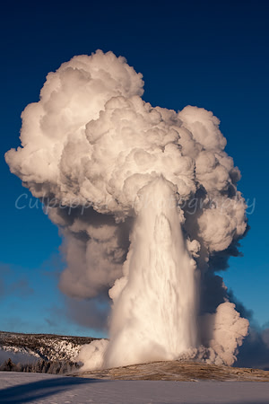 Old Faithful -25