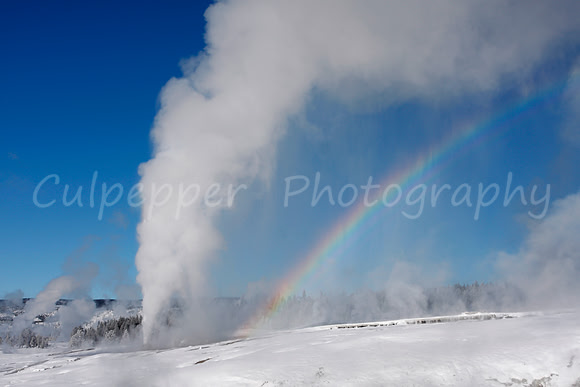 Beehive Geyser with Rainbow