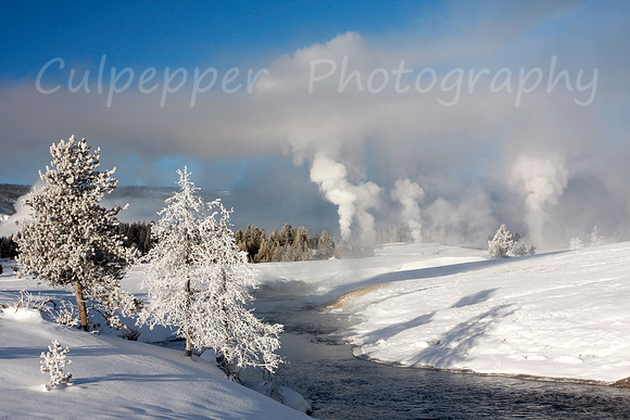 Winter Wonderland